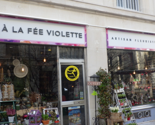 A la fée violette